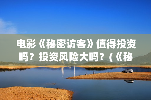电影《秘密访客》值得投资吗？投资风险大吗？(《秘密访客》上映)