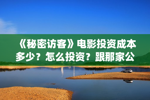 《秘密访客》电影投资成本多少？怎么投资？跟那家公司签合同？(《秘密访客》电影演员表)