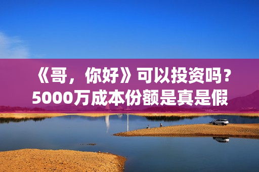 《哥，你好》可以投资吗？5000万成本份额是真是假？(你好哥哥表情包)