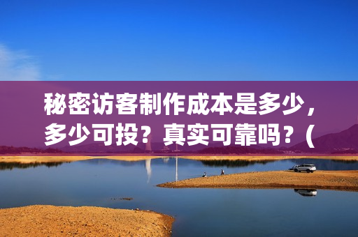 秘密访客制作成本是多少，多少可投？真实可靠吗？(秘密访客说明)