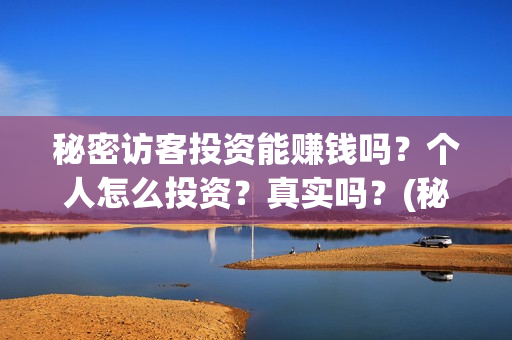 秘密访客投资能赚钱吗？个人怎么投资？真实吗？(秘密访客投资能赚钱吗)