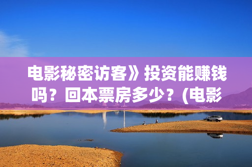 电影秘密访客》投资能赚钱吗？回本票房多少？(电影秘密访客故事讲的是什么)