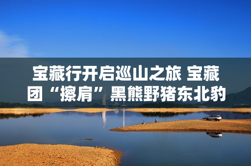 宝藏行开启巡山之旅 宝藏团“擦肩”黑熊野猪东北豹