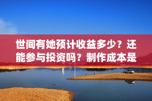 世间有她预计收益多少？还能参与投资吗？制作成本是多少？(世间有她剧情)