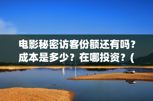 电影秘密访客份额还有吗？成本是多少？在哪投资？(电影秘密访客深度解析)