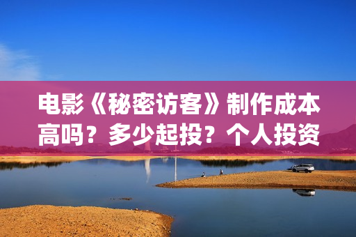 电影《秘密访客》制作成本高吗？多少起投？个人投资份额是否真实？(电影《秘密访客》演员表)