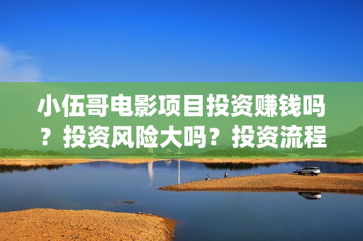 小伍哥电影项目投资赚钱吗？投资风险大吗？投资流程是什么？(小伍哥在线观看)