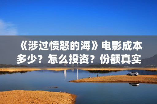 《涉过愤怒的海》电影成本多少？怎么投资？份额真实吗？(涉过愤怒的海剧情解析)
