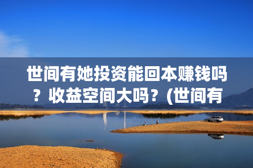 世间有她投资能回本赚钱吗？收益空间大吗？(世间有她投资成本)