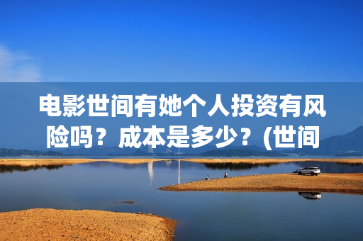 电影世间有她个人投资有风险吗？成本是多少？(世间有她电影宣发)