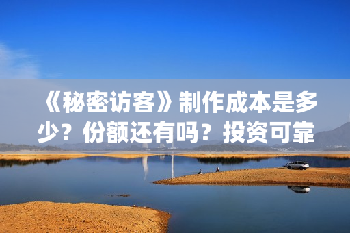 《秘密访客》制作成本是多少？份额还有吗？投资可靠吗？((秘密访客))