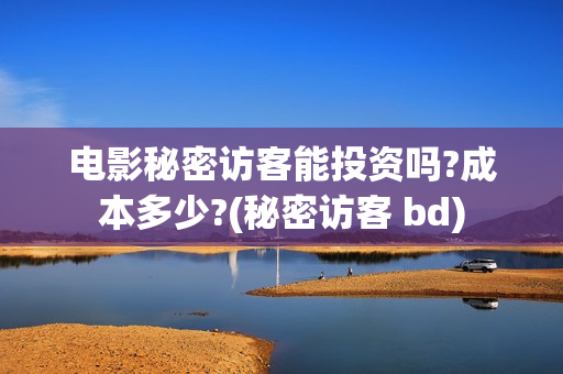 电影秘密访客能投资吗?成本多少?(秘密访客 bd)