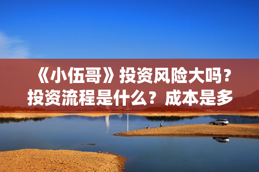 《小伍哥》投资风险大吗？投资流程是什么？成本是多少？(小伍哥能投)