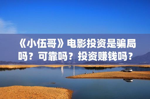 《小伍哥》电影投资是骗局吗？可靠吗？投资赚钱吗？(《小伍哥》电影免费观看)