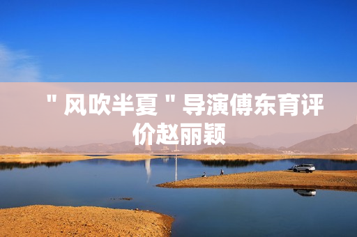 ＂风吹半夏＂导演傅东育评价赵丽颖