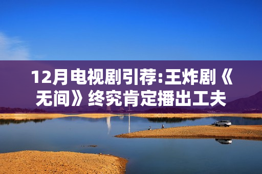 12月电视剧引荐:王炸剧《无间》终究肯定播出工夫