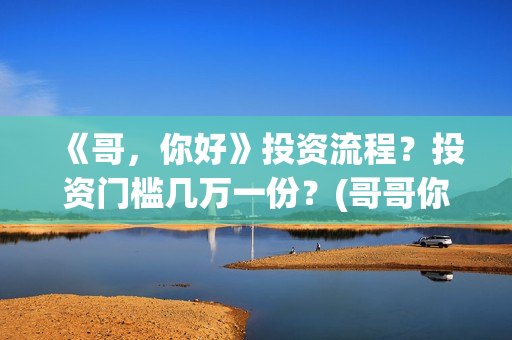 《哥，你好》投资流程？投资门槛几万一份？(哥哥你好语音)