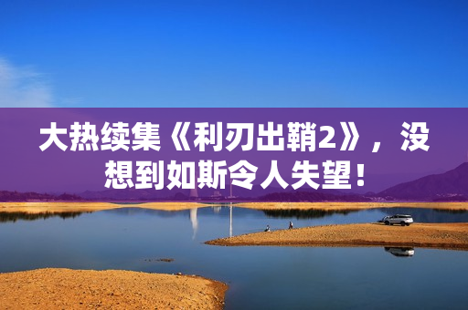 大热续集《利刃出鞘2》，没想到如斯令人失望！