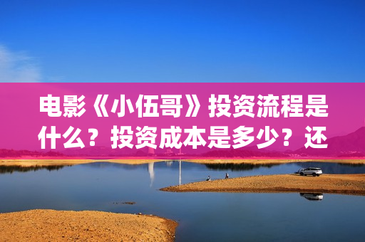 电影《小伍哥》投资流程是什么？投资成本是多少？还能投资吗？(电影《小伍哥》演员表)