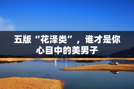 五版“花泽类”，谁才是你心目中的美男子