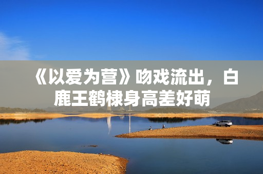 《以爱为营》吻戏流出，白鹿王鹤棣身高差好萌