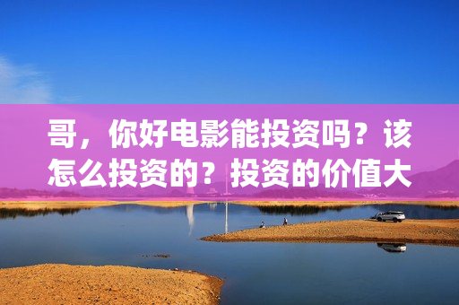 哥，你好电影能投资吗？该怎么投资的？投资的价值大吗？(哥哥你好牛)