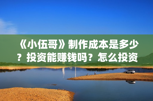 《小伍哥》制作成本是多少？投资能赚钱吗？怎么投资(电影小伍哥是哪家公司制片的)