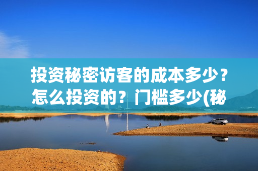 投资秘密访客的成本多少?怎么投资的?门槛多少(秘密访客投资成本) 投资秘密访客的成本多少?怎么投资的?门槛多少(秘密访客投资成本)