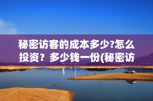 秘密访客的成本多少?怎么投资？多少钱一份(秘密访客的意义)