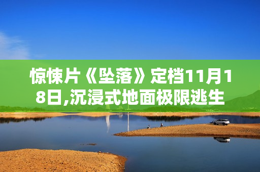 惊悚片《坠落》定档11月18日,沉浸式地面极限逃生