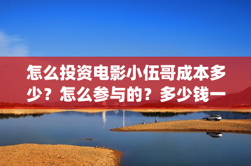 怎么投资电影小伍哥成本多少？怎么参与的？多少钱一份(怎么投资电影小说公司)