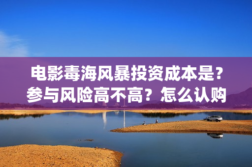 电影毒海风暴投资成本是？参与风险高不高？怎么认购？(毒海风暴开机)