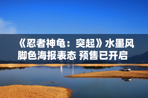 《忍者神龟：突起》水墨风脚色海报表态 预售已开启 11月19日影院见