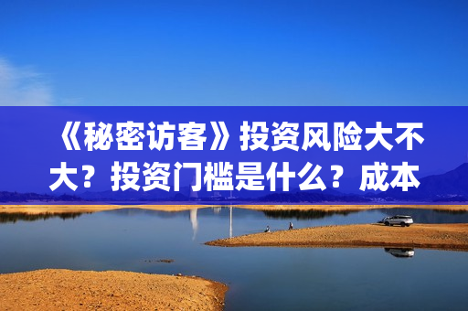 《秘密访客》投资风险大不大？投资门槛是什么？成本是多少？(秘密访客演了个啥)