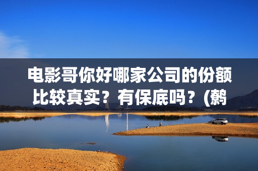 电影哥你好哪家公司的份额比较真实？有保底吗？(鹩哥你好)