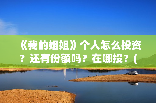 《我的姐姐》个人怎么投资？还有份额吗？在哪投？(《我的姐姐》简介)