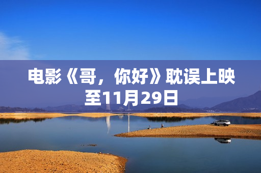 电影《哥，你好》耽误上映至11月29日