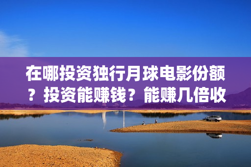 在哪投资独行月球电影份额？投资能赚钱？能赚几倍收益(投资独行客的新浪博客)