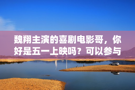 魏翔主演的喜剧电影哥，你好是五一上映吗？可以参与投资吗？怎么参与(魏翔主演的喜剧电视剧欢喜密探)