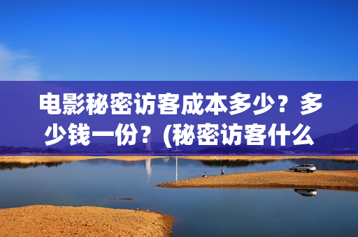 电影秘密访客成本多少？多少钱一份？(秘密访客什么电影)