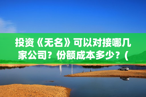 投资《无名》可以对接哪几家公司？份额成本多少？(无名作者)