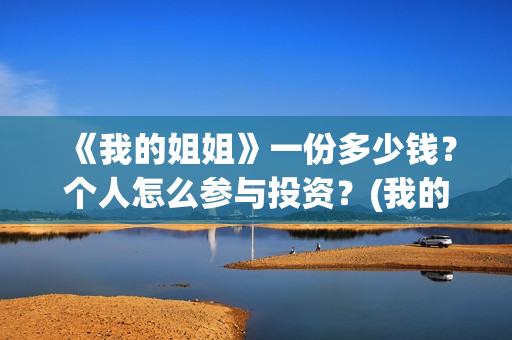 《我的姐姐》一份多少钱？个人怎么参与投资？(我的姐姐动漫日语版动画片在线观看)
