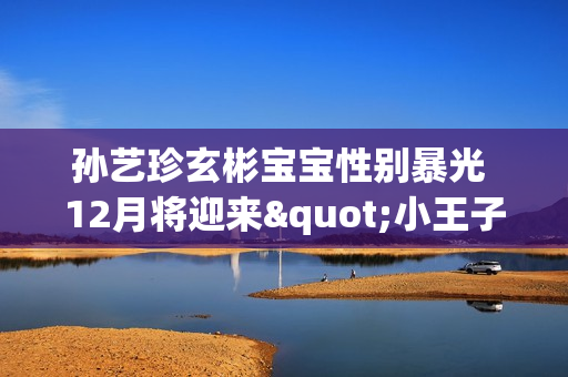 孙艺珍玄彬宝宝性别暴光 12月将迎来"小王子"