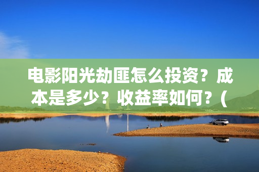 电影阳光劫匪怎么投资？成本是多少？收益率如何？(电影阳光劫匪最后看不懂)