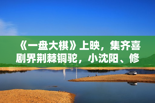《一盘大棋》上映，集齐喜剧界荆棘铜驼，小沈阳、修睿演郭涛儿子