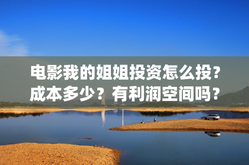 电影我的姐姐投资怎么投？成本多少？有利润空间吗？(电影我的姐姐口碑)