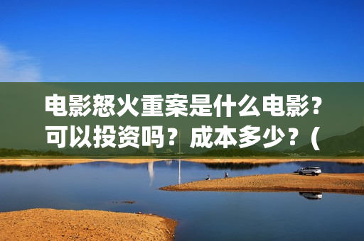 电影怒火重案是什么电影？可以投资吗？成本多少？(电影怒火重案是真实的吗)