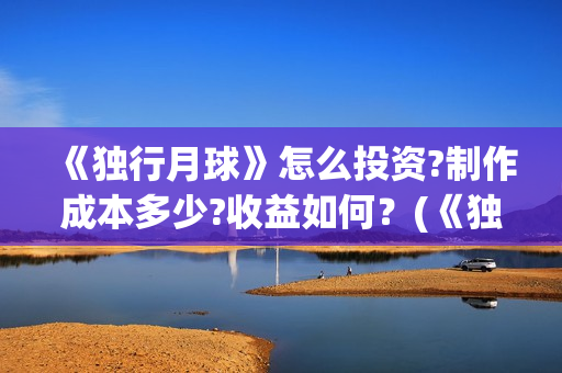 《独行月球》怎么投资?制作成本多少?收益如何？(《独行月球》怎么拍的)
