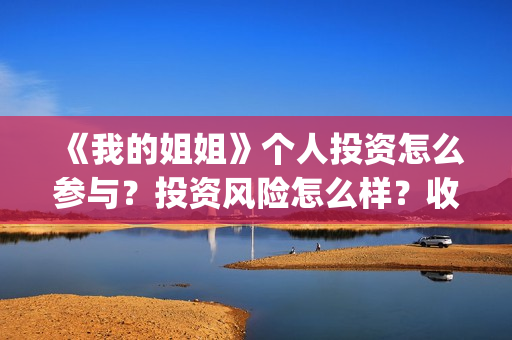 《我的姐姐》个人投资怎么参与？投资风险怎么样？收益空间怎么样？(《我的姐姐》百度百科)