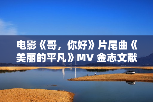 电影《哥，你好》片尾曲《美丽的平凡》MV 金志文献唱守护感人亲情